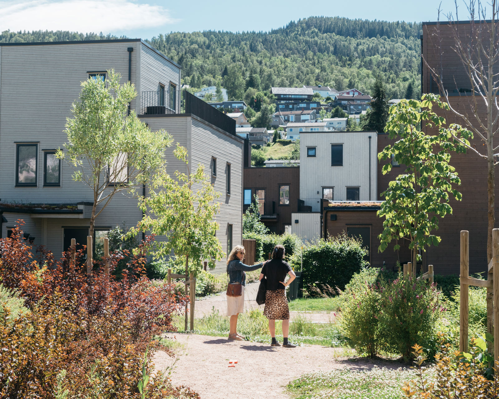 Felles utendørsarealer mellom byggene i Proffen Hageby